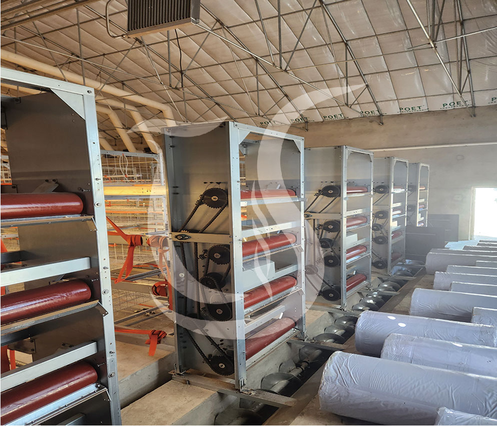 Single row broiler cage