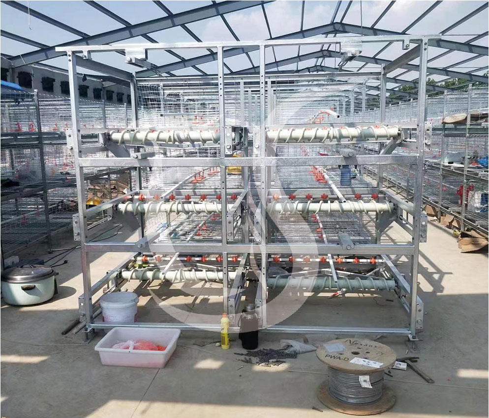 Double row broiler cage