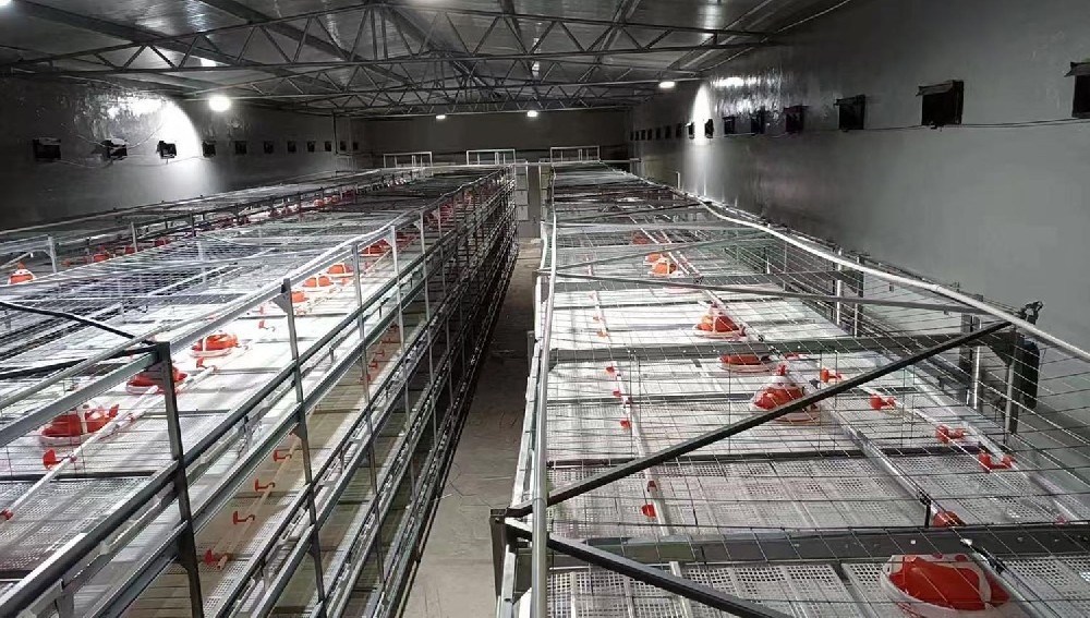 Push -Pull Auto Harvest Cage