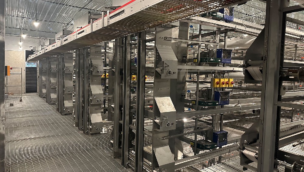 Chain Feeding Layer Cage (H)